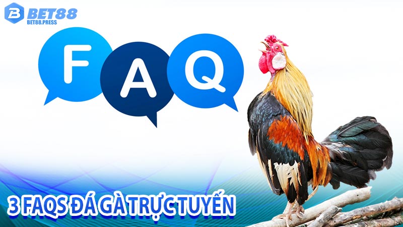 3 FAQs Đá gà trực tuyến